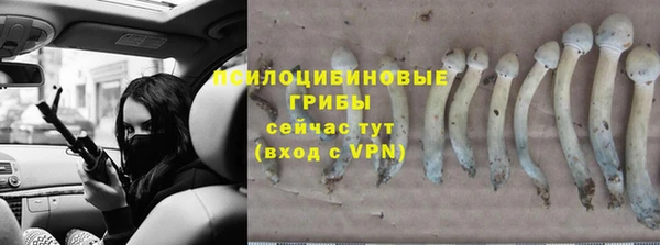 mdpv Переславль-Залесский