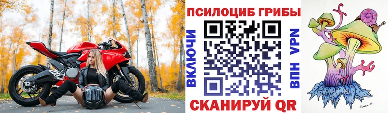 Псилоцибиновые грибы прущие грибы  blacksprut вход  Кола 